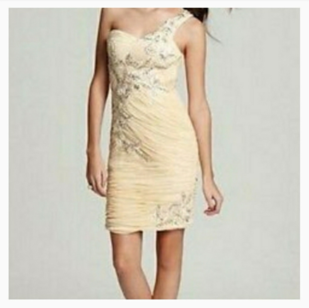 SUE WONG Formal, Sleeveless, Bodycon Dress W/ Beading & Sequins Sz. 2 NWT!